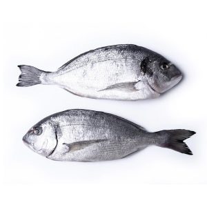 Encore Seafoods Stuffed the occasional